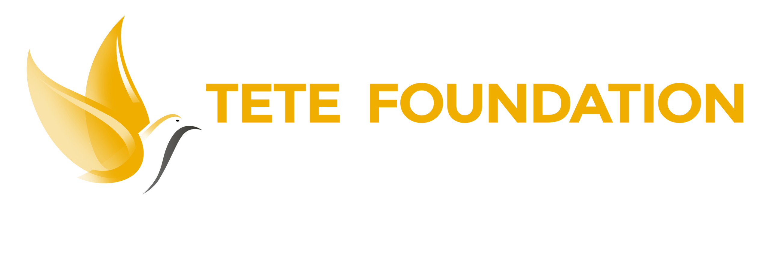 TETE FOUNDATION