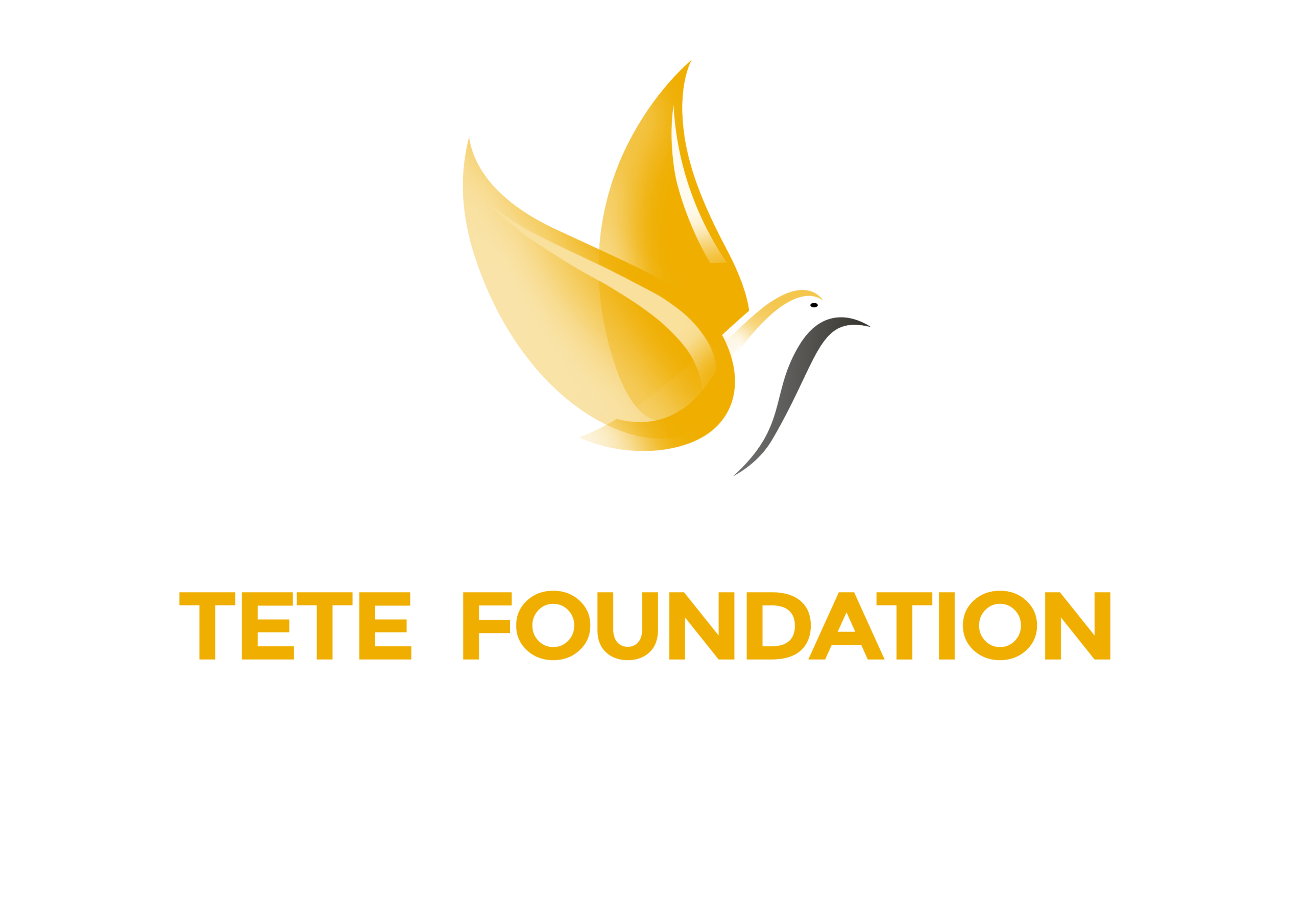 TETE FOUNDATION